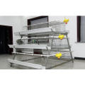 Cages pour animaux de compagnie de 2,3 * 4,4 m